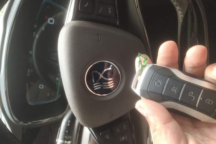 Used BYD Han 2020 DM Four-Wheel Drive Performance Edition Luxury Model