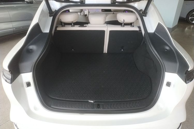 Used  LS6 2023 Max Long-Range Version
