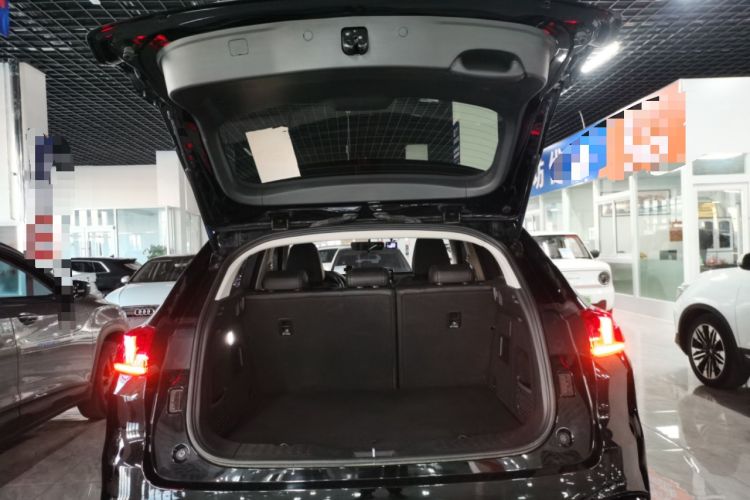 Used Wey VV5 2021 1.5T Two-Wheel Drive Color Pioneer
