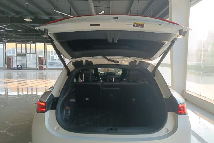 Used  #3 2024 25th Anniversary Starry Sky Edition