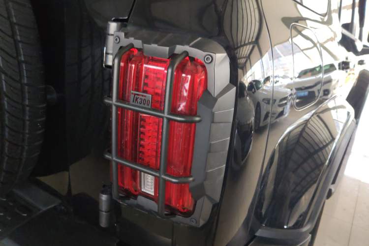 Used Tank 300 New Energy 2024 Hi4-T
