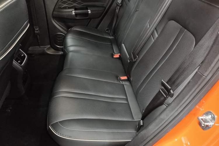 Used Tank 300 2024 2.0T Conqueror
