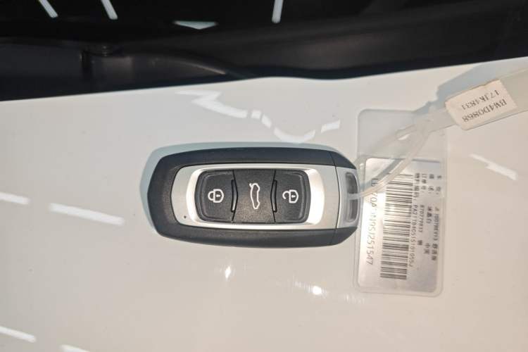 Used  Panda 2024 Panda Mini 200km Endurance Bear
