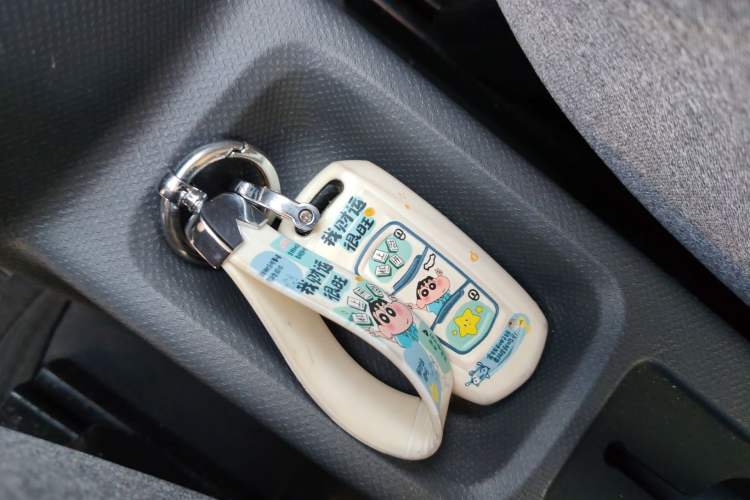 Used  Panda 2025 210 km – Yuanqi Bear