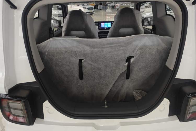 Used  Panda 2024 Panda Mini 200km Endurance Bear
