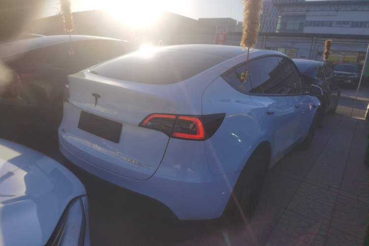 Used Tesla Model Y 2024 Rear-Wheel-Drive Version