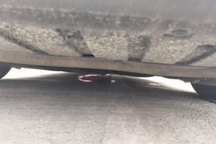 Used Ford Focus 2018 Hatchback Classic 1.6L Automatic Comfort Plus SmartDrive Edition