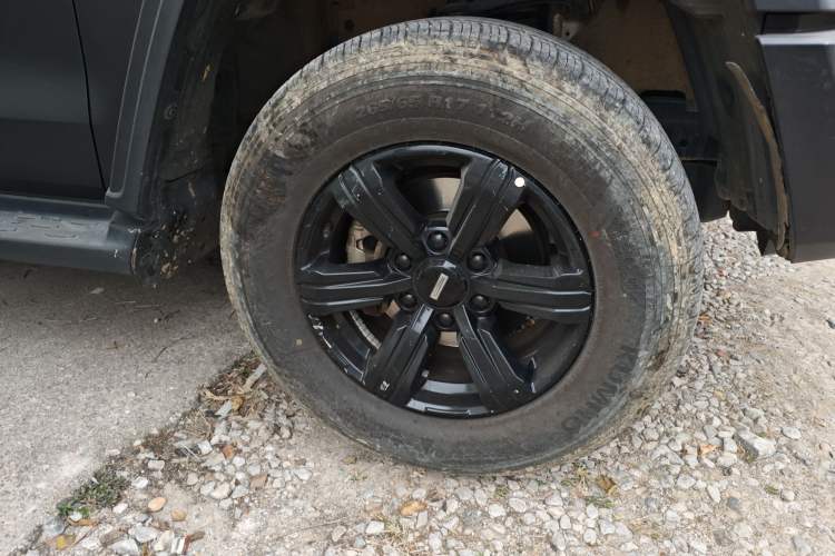 Used Tank 300 2021 Off-Road Edition 2.0T Conqueror