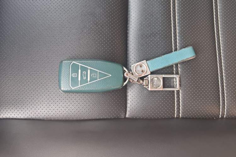 Used Venucia Star 2020 260T Automatic 48V Mild Hybrid Turbocharged Star Edition
