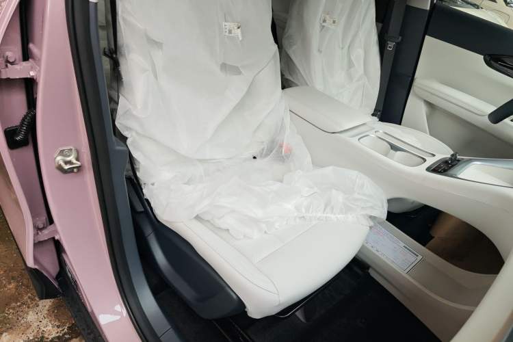 Used  Geome 2025 310km Youth Edition
