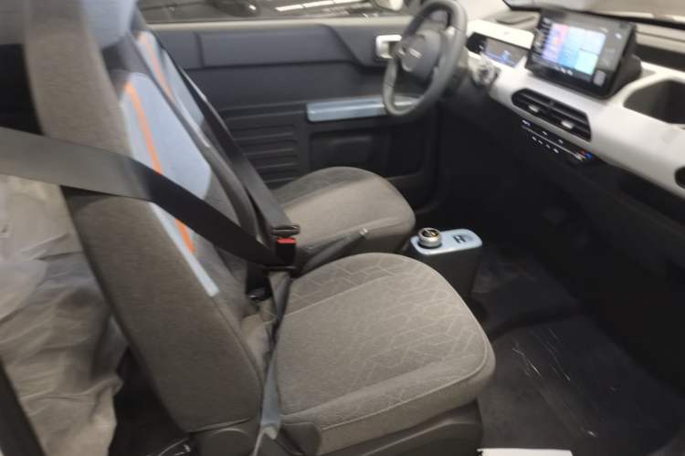 Used  Panda 2024 Panda Mini 200km Endurance Bear
