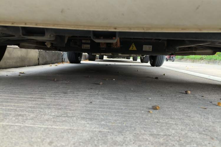 Used  Panda 2023 Panda Mini 200km Endurance Bear
