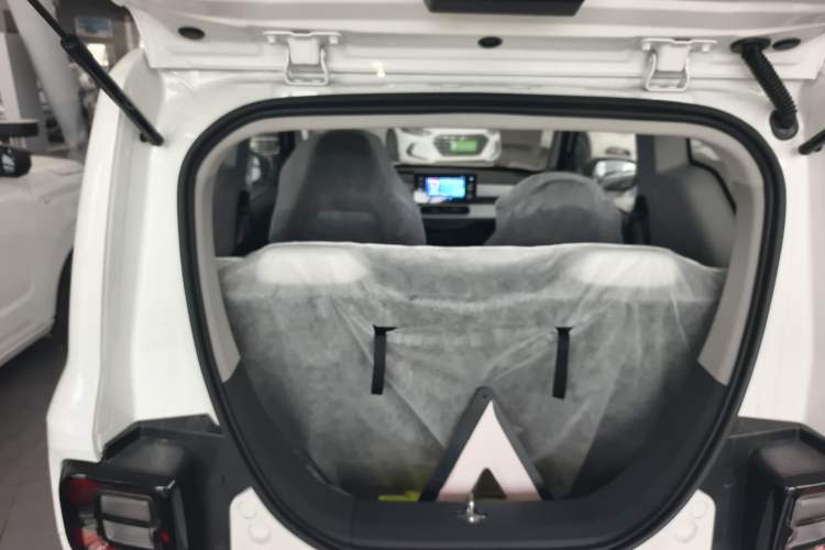 Used  Panda 2025 210 km – Yuanqi Bear
