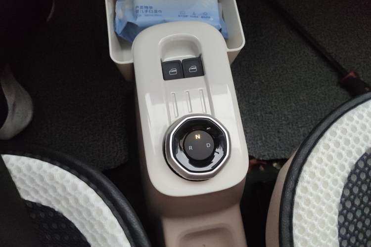 Used  Panda 2024 200km Panda Kart
