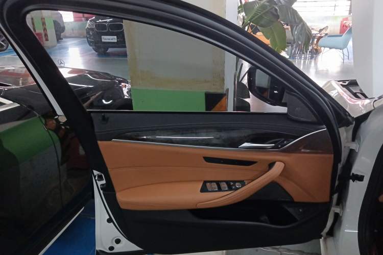 Used BMW 5 Series 2020 530Li Leading Model M Sport Package
