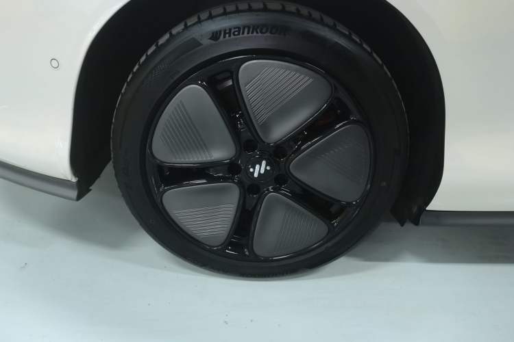 Used  L6 2024 Max Extended-Range Version
