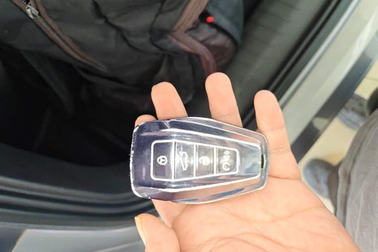 Used Geely Auto Monjaro L 2024 2.0TD DCT EVO Two-Wheel Drive Long-Range Version
