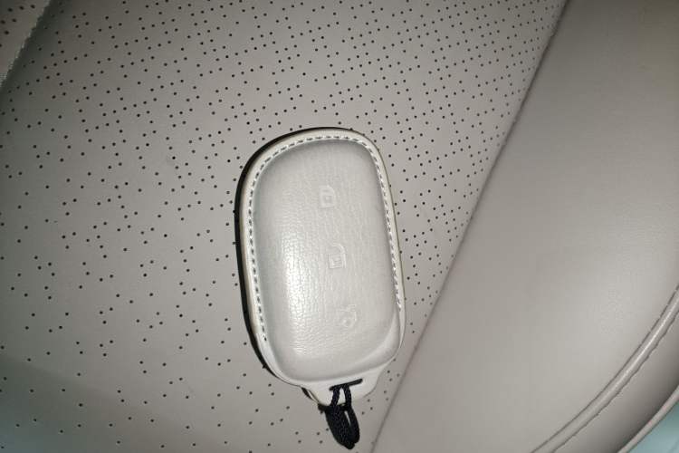 Used Lynk & Co Z20 2025 530 km Range Rear-Wheel Drive Max