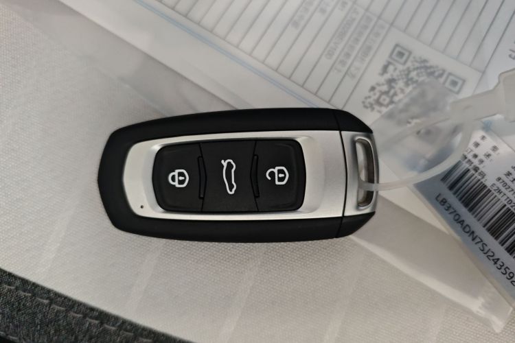 Used  Panda 2025 210 km – Yuanqi Bear
