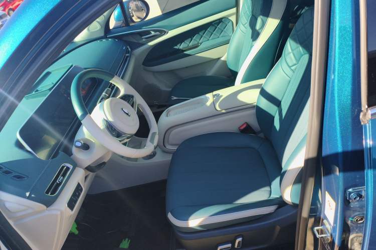 Used ORA Good Cat 2023 401 km Standard Range Luxury Version Lithium Iron Phosphate
