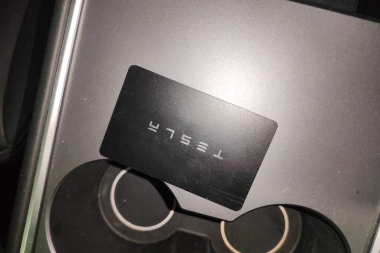 Used Tesla Model Y 2023 High-Performance All-Wheel-Drive Version
