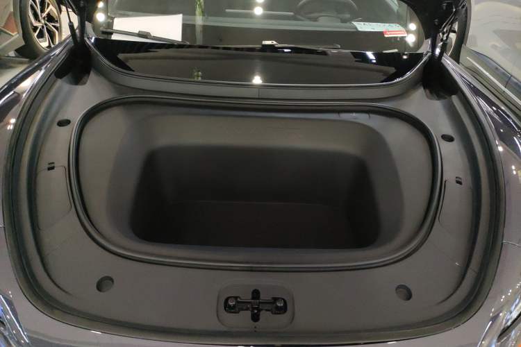 Used  06 2025 Ultra Pure Electric Edition