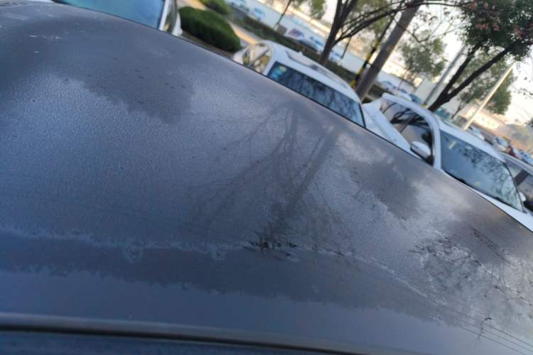 Used Chery Little Ant 2022 Restyled Version Sweet Pink Edition Half-Sugar Version 30.6 kWh 30 kW 301 km