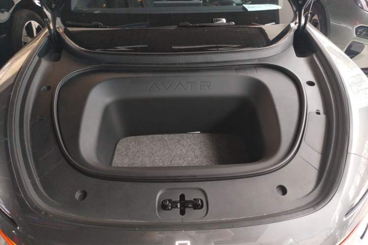 Used  06 2025 Ultra Pure Electric Edition
