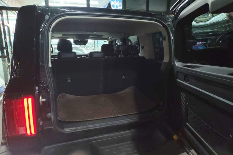 Used Tank 300 2024 2.0T Conqueror
