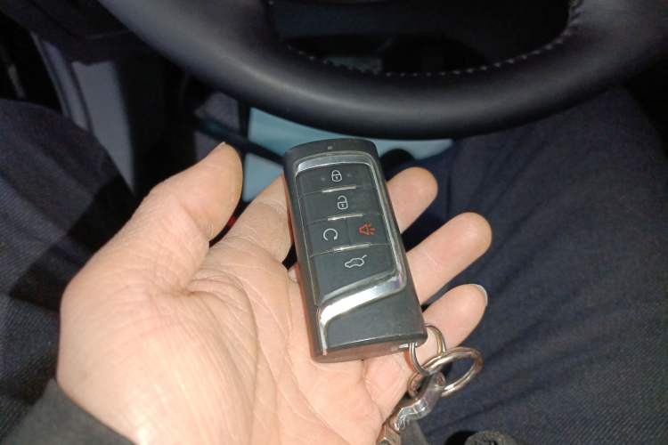 Used GAC Trumpchi GS8 2017 320T Two-Wheel Drive Luxury Smart Connectivity Version (7 Seats)
