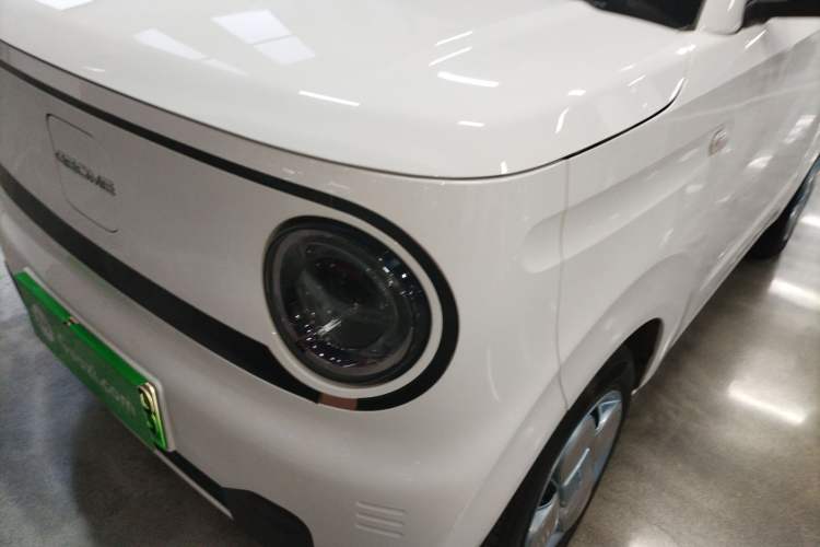 Used  Panda 2024 Panda Mini 200km Endurance Bear
