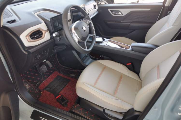 Used SOL E10X 2022 Flower Fairy Design Four-Leaf Clover
