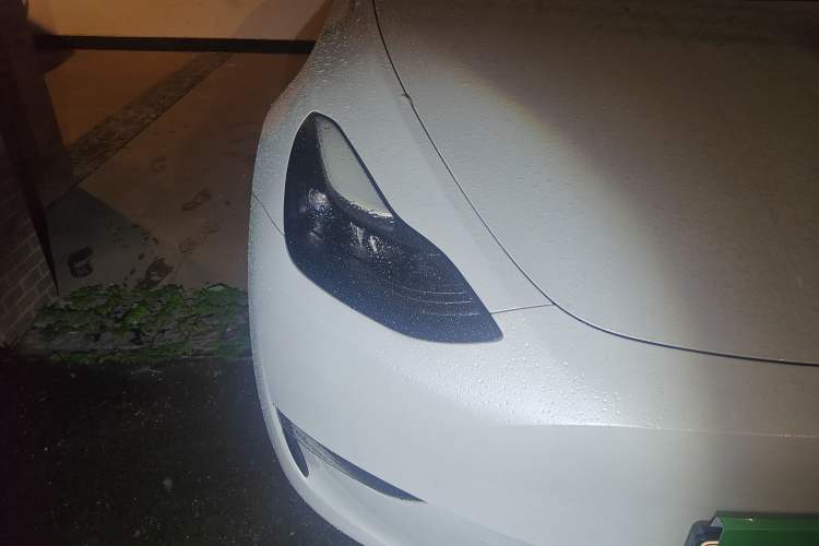 Used Tesla Model Y 2021 Standard Range Rear-Wheel Drive Version
