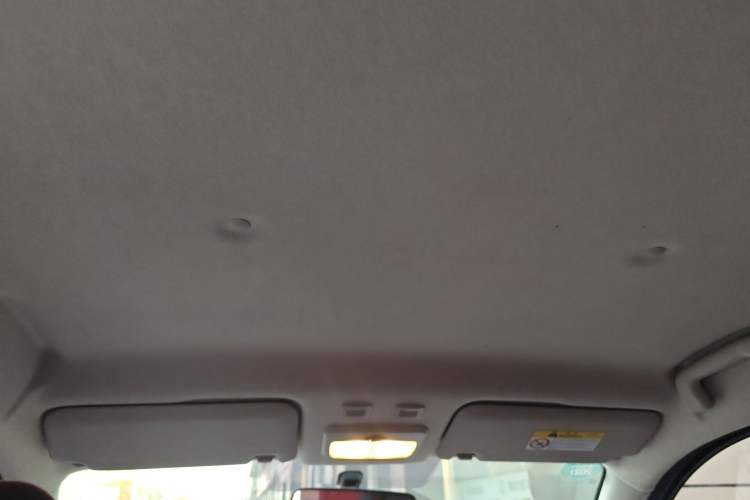 Used ORA Black Cat 2019 301km Standard Edition
