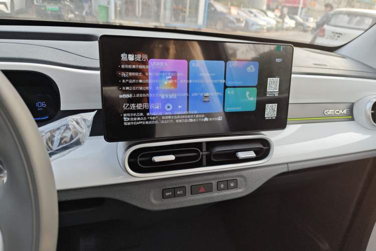 Used  Panda 2025 210 km – Yuanqi Bear
