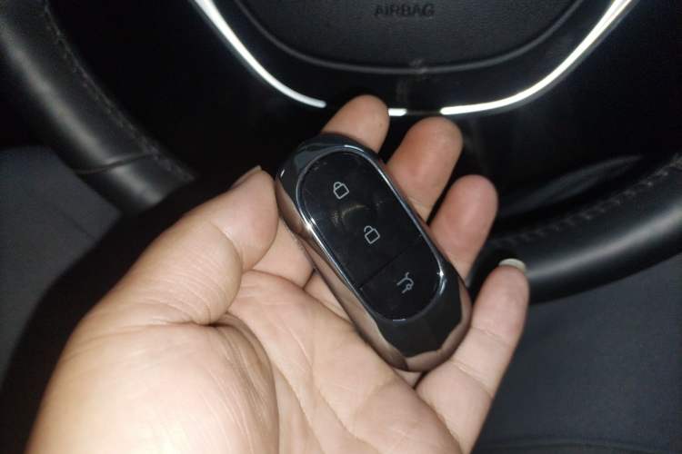 Used Leapmotor C11 2023 Range-Extended 300 Comfort Edition
