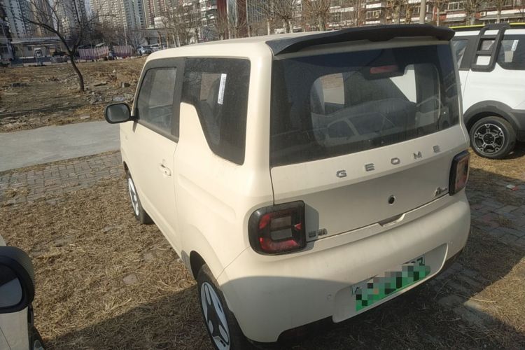 Used  Panda 2025 210 km – Yuanqi Bear

