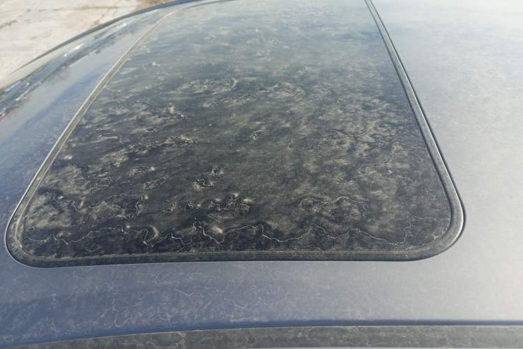 Used Toyota Corolla 2017 Revised Dual-Engine 1.8L E-CVT Elite Edition