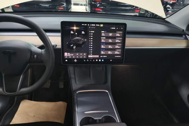 Used Tesla Model Y 2022 Rear-Wheel-Drive Version
