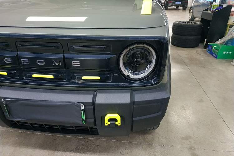 Used  Panda 2024 200km Panda Rider
