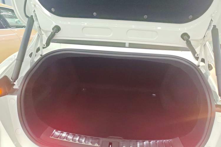 Used  11 2022 Long-Range Dual-Motor Version 5 Seats
