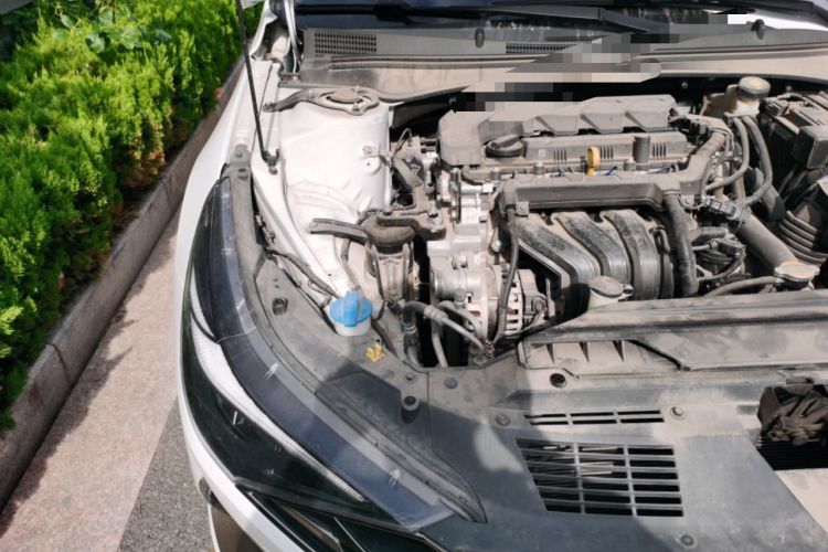 Used Hyundai Elantra 2022 1.5L CVT LUX Prestige Edition
