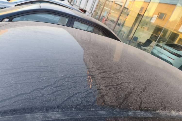 Used Honda Crider 2019 180 Turbo CVT Comfort Edition China V