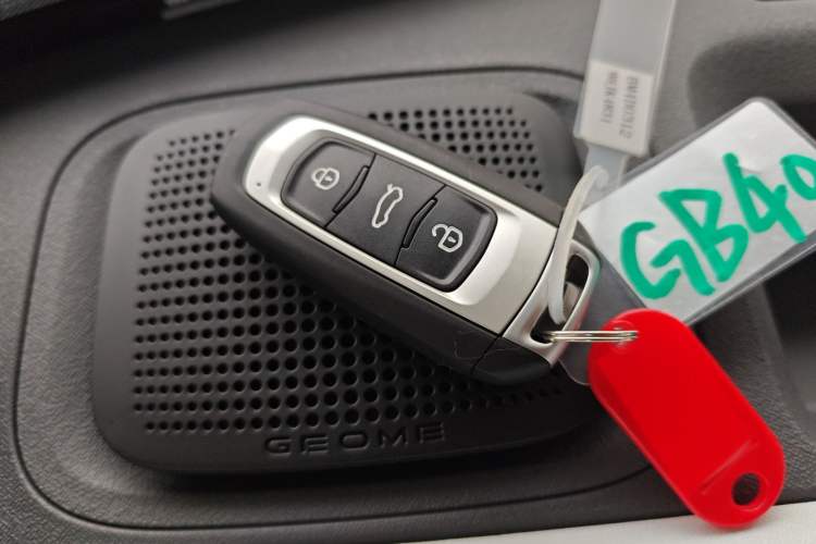 Used  Panda 2024 Panda Mini 200km Endurance Bear
