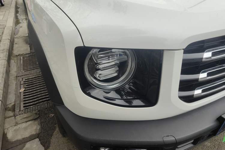 Used Haval DARGO 2021 2.0T DCT 4x4 Chinese Rural Dog Edition
