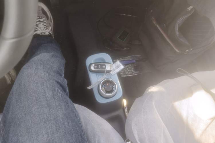 Used  Panda 2024 Panda Mini 200km Endurance Bear