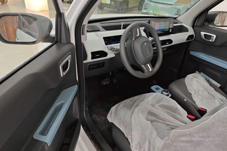 Used  Panda 2024 Panda Mini 200km Endurance Bear