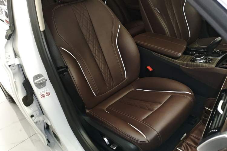 Used BMW 5 Series New Energy 2020 530Le Luxury Package
