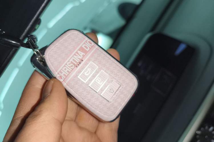 Used Lexus RX 2020 Revised Version 300 Two-Wheel Drive Elite Edition