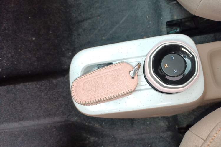 Used  Panda 2023 Panda Mini 200km Endurance Bear